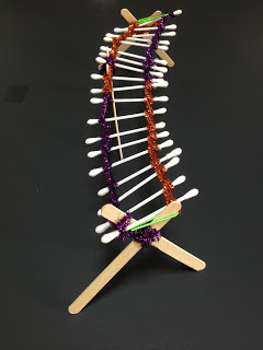 One example of a student's bone bridge used popsicle sticks as supports and q-tips connected with pipe cleaners as the bridge.