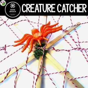 Creature Catcher Spider Web Halloween STEM Activity made with coffee stirrers, string, and plastic spider.
