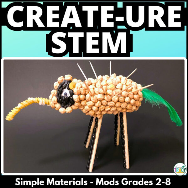 CREATE-URE STEM ACTIVITY