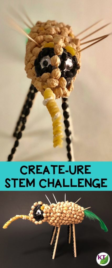 If you’re looking to apply learning in adaptations, habitats, food chains and food webs, life cycles, genetics & heredity, evolution, and/or human body systems, this STEM / STEAM challenge is a perfectly engaging way to get the job done joyfully!