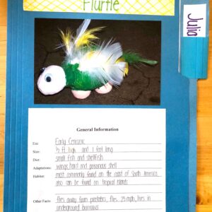 Example of a student's create-ure