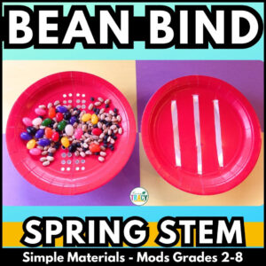 SPRING STEM BEAN Cover - jelly bean sorter STEM