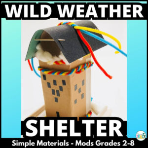 WEATHER STEM ACTIVITY - wild weather & natural disaster shelter STEM
