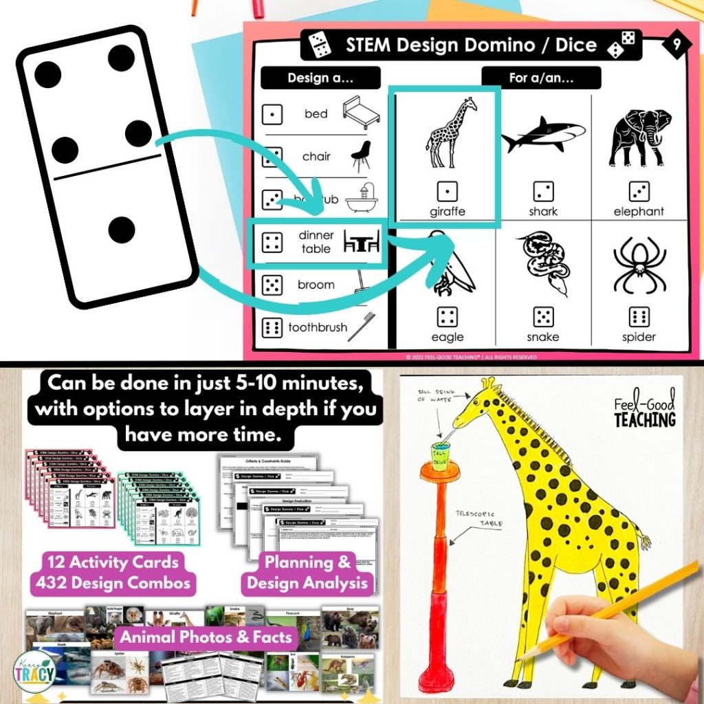 STEM activity Design Domino