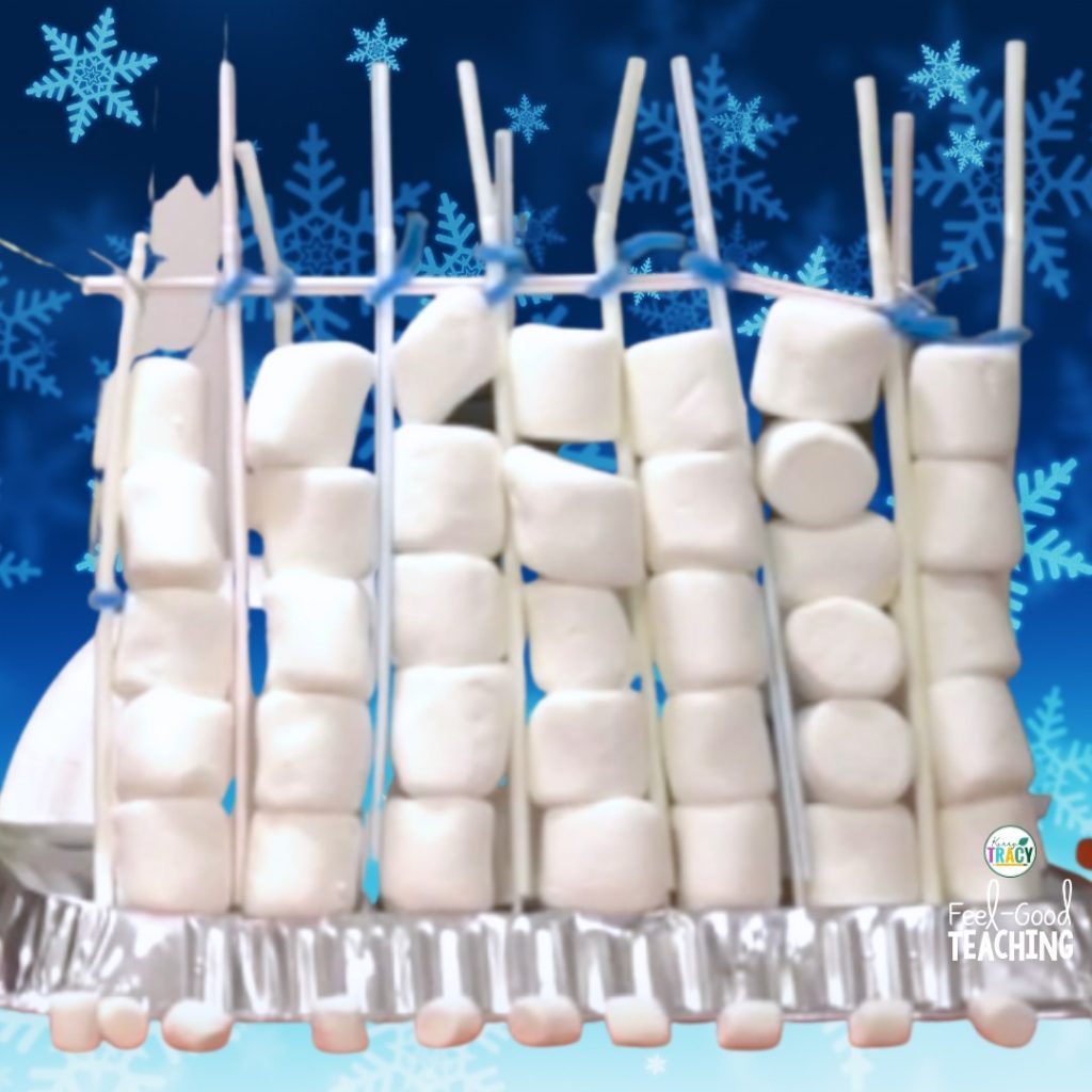 Fortress Winter STEM Activity Design 1